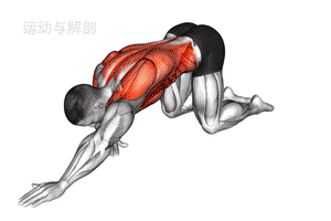 为什么动态拉伸更适合篮球训练前的热身?